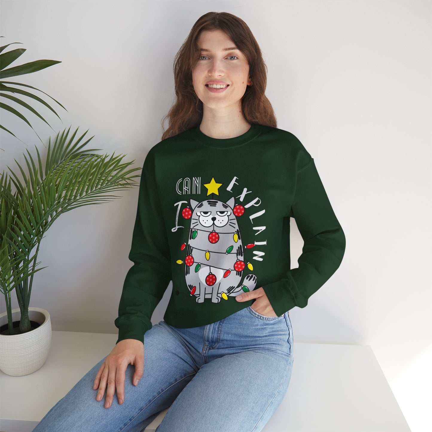 I Can Explain | Crewneck Sweatshirt