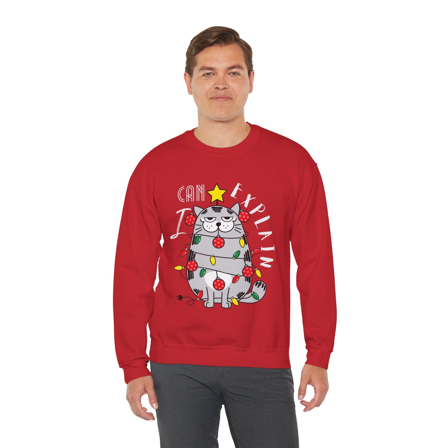 I Can Explain | Crewneck Sweatshirt