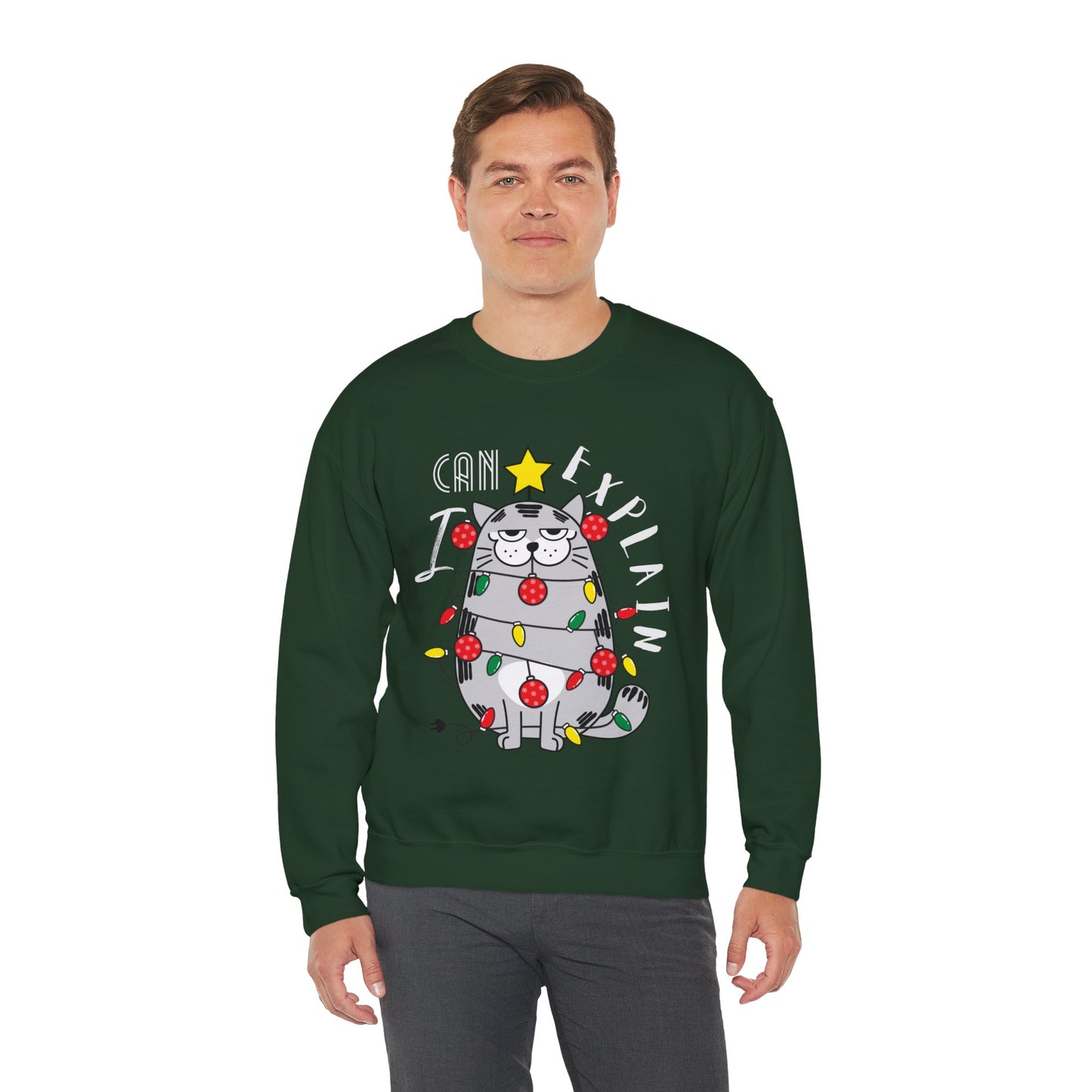 I Can Explain | Crewneck Sweatshirt